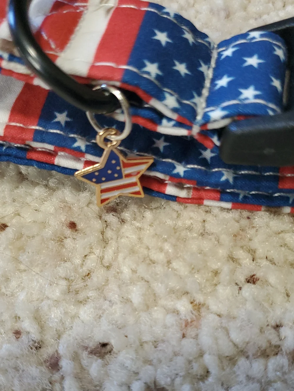 American Flag Adjustable Dog Collar - Stars & Stripes